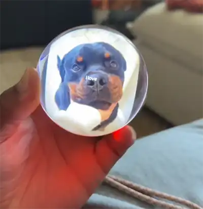 Photo for review by Emily R.